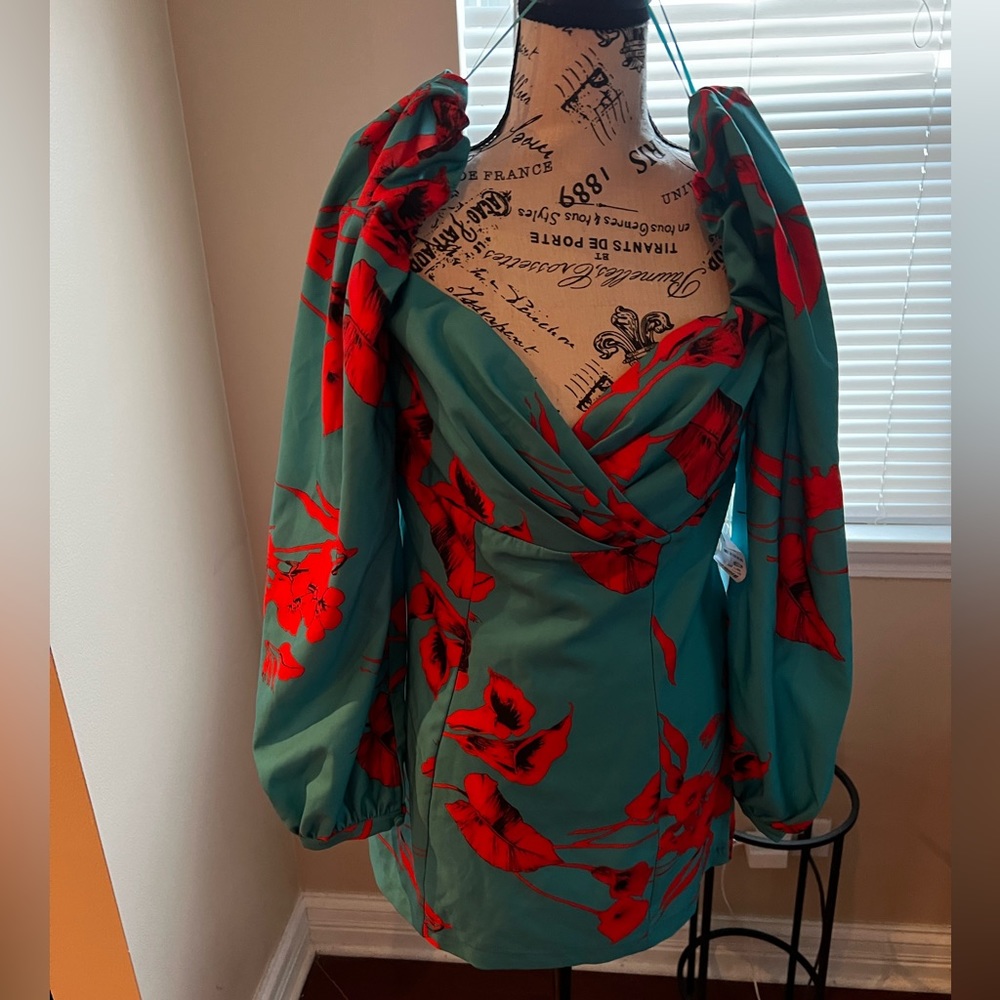 Akira long sleeve floral mini dress -NEW